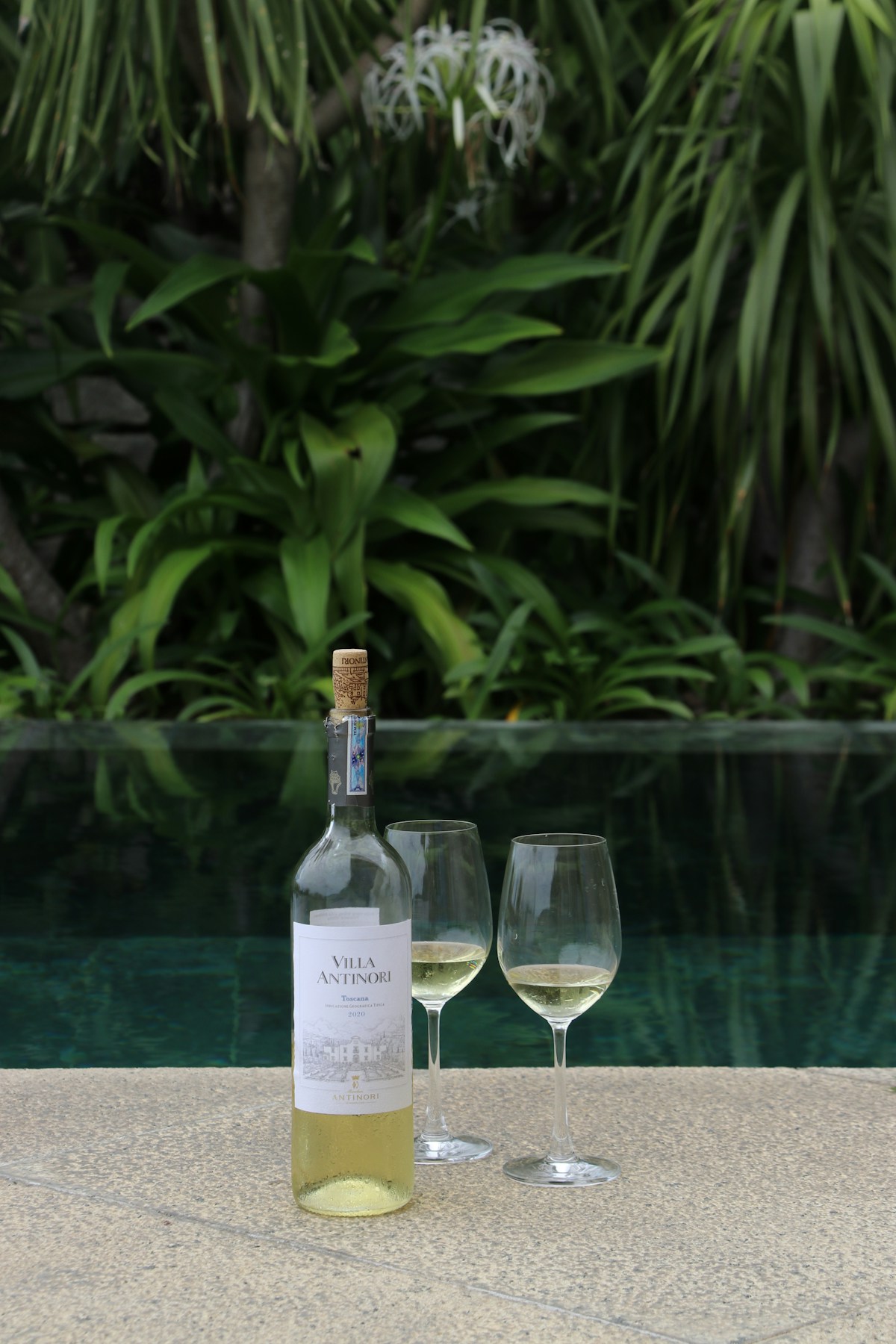 Provence Rosé 2024
